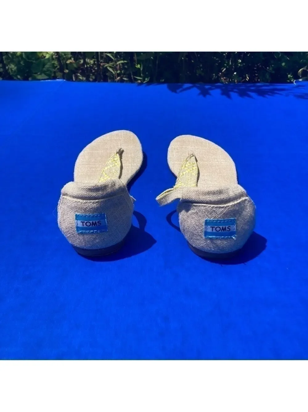 Toms yellow patterned